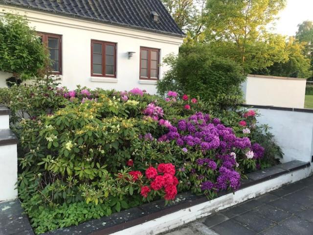 Auberge de jeunesse Dreamcenter Boulevard Ballerup